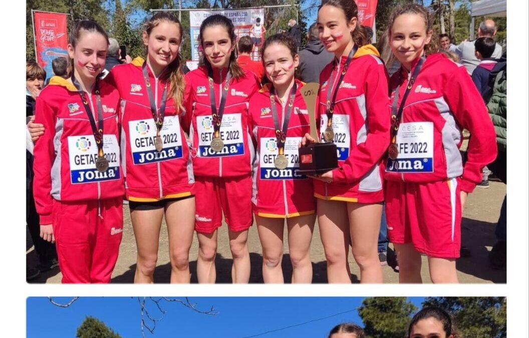 EXTRAORDINARIO ÉXITO DEL CROSS DE CASTILLA Y LEÓN EN EL CAMPEONATO DE ESPAÑA DE SELECCIONES AUTONÓMICAS